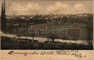 1905 Belovár, Bjelovar; J. Fleischmann, L. Weiss / látkép / general view + "BROD - NAGY-KANIZSA 61. SZ." vasúti mozgóposta bélyegző