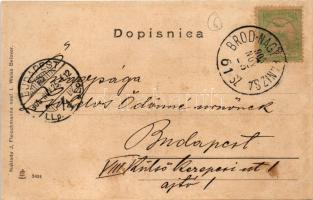 1905 Belovár, Bjelovar; J. Fleischmann, L. Weiss / látkép / general view + "BROD - NAGY-KANIZSA...