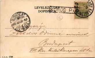 1905 Kőrös, Krizevac, Krizevci; Zakmardijeva ulica / utca, templom / street, church (fl)