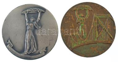 Jeckel Ferenc (1950-2012) 1980. "Szövetkezeti Munkáért - Jubileumi emlék 1945-1980" kétoldalas bronz emlékérem tokban (70mm) + DN "Szabadság-szobor" egyoldalas, ezüstözött bronz emlékérem (70mm) T:VF, patina