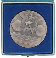 Szovjetunió 1980. "Közös Szovjet-Csehszlovák Határvizek Műszaki Bizottsága" kétoldalas ezü...