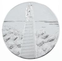 Szovjetunió / Ukrajna DN "Kniv - T.G. Sebienko sírja és emlékműve a Taraszov-dombon" kétoldalas Al emlékérem eredeti műanyag tokban (61mm) T:AU Soviet Union / Ukraine ND "Kaniv - T.G. Shebienko's grave and monument on Tarasov Hill" double-sided Al commemorative medal in original plastic case (61mm) C:AU