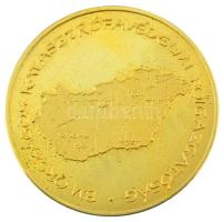 DN "Belügyminisztérium Országos Katasztrófavédelmi Főigazgatóság" kétoldalas, aranyozott f...