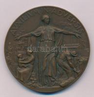 Olaszország 1938. "AVXILIVM IN ADVERSIS / IX MAGGIO MDCCCXXXVIII-MCMXXXVIII - RIUNIONE ADRIATICA DI SICURTA TRIESTE" kétoldalas bronz emlékérem az Adriai Biztosító Társulat 100 éves jubileumára. Szign.: Mistruzzi / Pagani (57mm) T:AU Italy 1938. "AVXILIVM IN ADVERSIS / IX MAGGIO MDCCCXXXVIII-MCMXXXVIII - RIUNIONE ADRIATICA DI SICURTA TRIESTE" two-sided bronze commemorative medallion for the occasion of 100th anniversary of the Adriatic Insurance Company. Sign: Mistruzzi / Pagani (57mm) C:AU