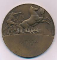 Reményi József (1887-1977) 1913. "Aurora" egyoldalas bronz emlékérem, peremén "É.K.E. (Éremkedvelők Egyesülete) 1913." és "112-es" sorszámmal (69mm) T:AU patina
