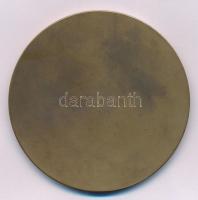 Reményi József (1887-1977) 1913. "Aurora" egyoldalas bronz emlékérem, peremén "É.K.E....