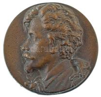 DN "Petőfi Sándor" egyoldalas, öntött bronz emlékérem, hátoldalán fúrt lyukakkal (80mm) T:AU, patina