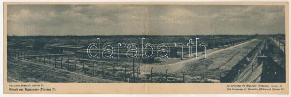 Auschwitz-Birkenau, Oswiecim-Brzezinka; The Panorama of Brzezinka, Section B. The Concentration Camp 2-tiled folding panoramacard (fl)