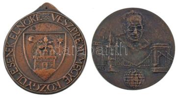 1996. "International Bálint Centenary Congress 1896 1996 1-5 May" (Nemzetközi Bálint centenáriumi kongresszus - 1996. Május 1-5.) kétoldalas, öntött bronz emlékérem (60mm) + DN "Veszprém megye Közgyűlésének Elnöke" egyoldalas, öntött bronz emlékérem, lyukasztás nélküli füllel (66mm) T:XF, patina