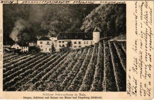 1905 Nalles, Nals (Südtirol); Schloss Schwanburg. Burgen, Schlösser und Ruinen von Meran und Umgebung. Verlag F. Peter / castle ruins (EM)