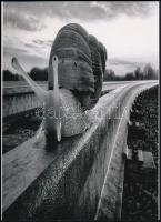 "A magyar vasút napjainkban", 1 db modern nagyítás, jelzés nélkül, 21x15 cm