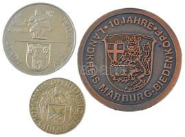 Németország 1976. "Altenburg 1000 éves 976-1976 / Altenburg város" kétoldalas fém emlékére...