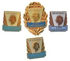 DN(~1980) "Hűséggel a nép egészségéért" 4xklf rátétes, műgyantás orvosi törzsgárda jelvény (30x22mm ; 18x16mm) T:AU