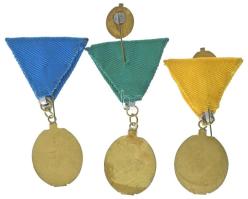 DN(~1970-1980) "Véradásért" (3xklf: 30, 40 és 50 véradás után" részben műgyantás aran...