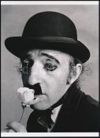 cca 1972 Irving Penn (1917-2009) amerikai fotográfus felvétele (Woody Allen Charlie Chaplin szerepében), 1 db modern nagyítás, jelzés nélkül, 21x15 cm