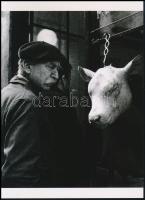 cca 1950 Doisneau, Robert (1912-1994) francia fotóriporter és fotóművész felvétele (Hentes kirakata), 1 db modern nagyítás, jelzés nélkül, 21x15 cm