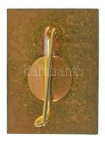 1980 k. "MALÉV Junior Club" műgyantás fém jelvény T:AU