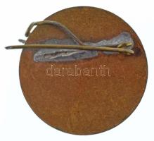 1920-1930 k. "Elsősegély" zománcozott fém jelvény (22mm) T:XF