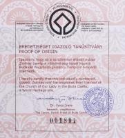 A világörökség részét képező budavári Nagyboldogasszony-templom (Mátyás-templom) tetejéről származó,...