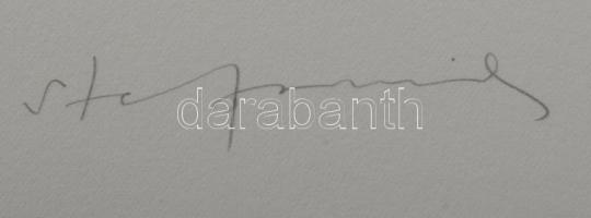 Stefanovits Péter (1947-): Síremlék II, 2016. Szitanyomat, papír, jelzett. 7/12 számozással. Lapmére...