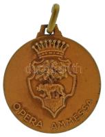 Olaszország 1956. "Nemzetközi Művészi Fotópályázat Arany Medve - Biella városa - Cineclub Biella" kétoldalas bronz emlékérem füllel (33mm) T:XF Italy 1956. "Opera Ammessa / Concorso Internazionale Fotografia Artistica Orso d'Oro - Citta di Biella - Cineclub Biella - Italia 1956" two-sided bronze commemorative medallion with ear (33mm) C:XF