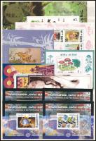 Összeállítás ázsiai országok bélyegeiből, 40 db blokk jó motívumokkal, 2 A/4-es berakólapon