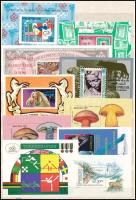 Összeállítás ázsiai országok bélyegeiből, 40 db blokk jó motívumokkal, 2 A/4-es berakólapon