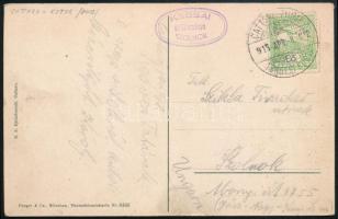 1911 Képeslap tengeri postával / Postcard with sea mail "FIUME-CATTARO / TENGERI POSTA"
