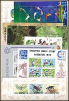 Összeállítás ázsiai országok bélyegeiből, 21 db sor + 42 db blokk jó motívumokkal, 3 berakólapon