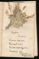 1918-1921 Bp.-Újpest, Erzsike nevű lány emlékkönyve, kb. 25 oldalnyi bejegyzéssel, rajzokkal, egy ol...