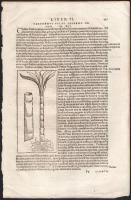 1570 Sebastian Münster Cosmographia című munkájának Siracusát ábrázoló fametszetű lapja hátoldalán Palermo olasz város leírása és a helyi mezőgazdaság történéte különösképpen a cukornád termesztése.  Mejelent: 1570-ben Baselben.