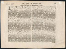 Győr (Raab) korabeli, madártávlati, rézmetszetű ábrázolása. Megjelent: Petrus Bertius: Commertarioru...