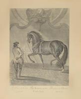 Johann Elias Ridinger (1698-1767) német metsző lovasiskolai sorozatának 4 db metszete. Metszetekről ...