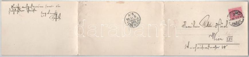 1898 Budapest, látkép, Lánchíd, királyi vár, Várkert Bazár, uszályok, Citadella, rakpart. 3-részes k...