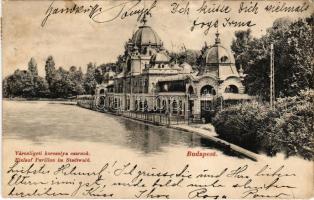 1905 Budapest XIV. Városliget, korcsolya csarnok, Divald Károly 613. sz. (EB)