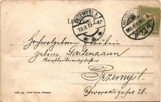 1905 Budapest XIV. Városliget, korcsolya csarnok, Divald Károly 613. sz. (EB)