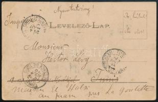 1900 TCV képeslap Turul 5f bérmentesítéssel Tunéziába, az országon belül továbbküldve / TCV postcard...