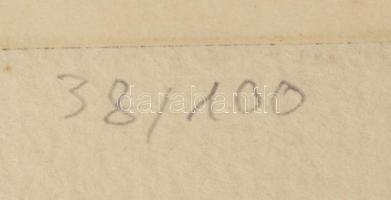 Balla Margit (1947-): Bibliai történet. Rézkarc, papír. Jelzett. Számozott (38/100). Lapszéli szakad...