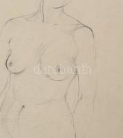 Farkas jelzéssel: Női aktok. Ceruza, papír. Lapszéli kisebb szakadásokkal. 61,5×43,5 cm