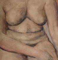Jelzés nélkül: Ülő női akt. Akvarell, papír. Lapszéli apró sérülésekkel. 61×43 cm