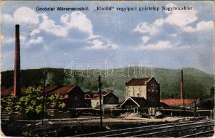 1917 Nagybocskó, Velikij Bicskiv, Velykyy Bychkiv (Máramaros); Klotild első magyar vegyipari rt. gyártelepe. Berger Miksa utóda kiadása / chemical factory (EB)