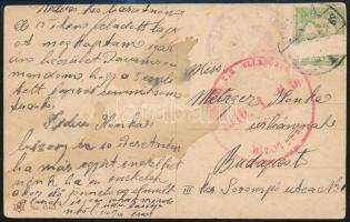 1916 Képeslap Turul 5f (sérült) bérmentesítéssel "DAMPFER VÁG DER K. U. K. KRIEGSMARINE" és temesvári cenzúra bélyegzéssel Budapestre küldve