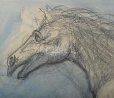 Jelzés nélkül: Repülő paripa (ló). Akvarell, ceruza, papír, jelzett, 43×61 cm