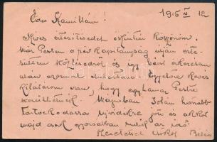 1915 Tábori posta levelezőlap Budapestre küldve "K.u.K. KRIEGSMARINE / SCHIFF ANDOR"