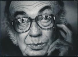 cca 1990 Hernádi Gyula (1926-2005) József-Attila díjas és Kossuth-díjas író, forgatókönyvíró portréja, Szabó Barnabás (1959- ) fényképész, fotóriporter pecséttel jelzett felvétele, 17,5x24 cm