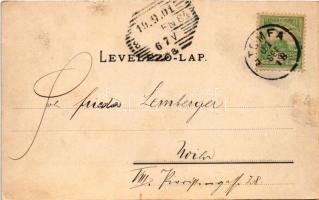 1901 Stomfa, Stampfen, Stupava; Gróf Károlyi kastély. Wiesner Alfréd kiadása / Schloss / castle