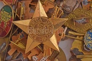 Vegyes, 63db-os magyar jelvény / kitűző tétel, közte Magyar Néphadsereg "Rakétás Tüzér" zo...