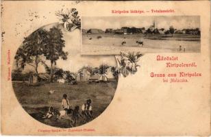 1900 Egyházhely, Kiripolcz, Kostoliste; látkép, cigány tanya. Wiesner kiadása / panorama view with gypsy ranch. floral (vágott / cut)