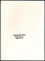 1945 Szendrő István (1908-2000): Budapest, a felrobbantott Erzsébet híd, hátoldalon pecséttel jelzet...