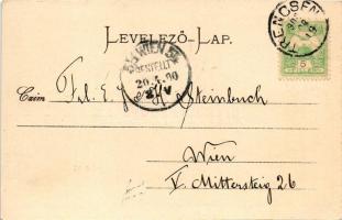 1900 Trencsén, Trencín; látkép, vár. Gansel Lipót kiadása / Trenciansky hrad / castle, bridge (EK)